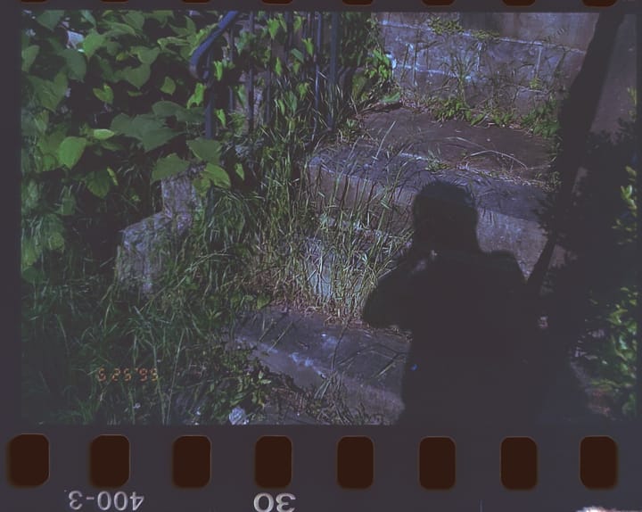 sunny picture of pgh cement steps, overgrown, photographer's shadow